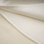 Elara Cream Pleated Gown