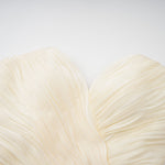 Elara Cream Pleated Gown