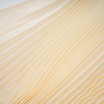 Elara Cream Pleated Gown