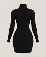 Élodie Noir Ribbed Turtleneck Mini Dress