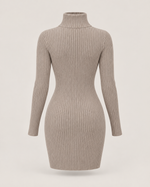 Élodie Noir Ribbed Turtleneck Mini Dress