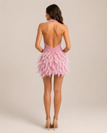 Roxélane Blush Embellished Feather Dress