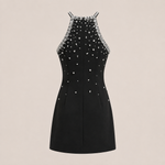 Sabine Black Crystal A-Line Dress