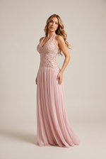 Iris Blush Embellished Evening Gown - side view