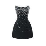 Sabine Black Crystal Mini Dress