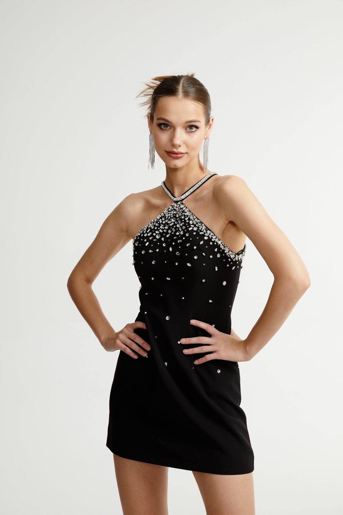 Sabine Black Crystal A-Line Dress